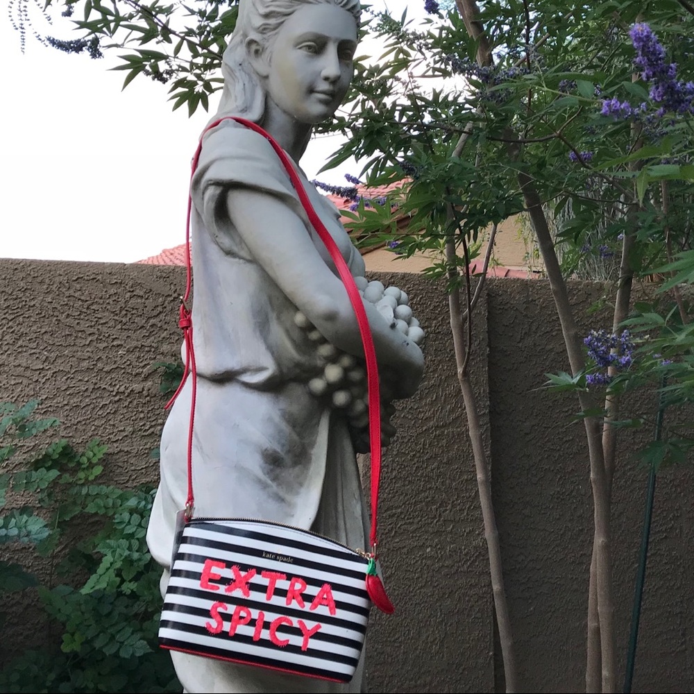 Kate Spade Extra Spicy Striped Crossbody - Picture 6 of 6